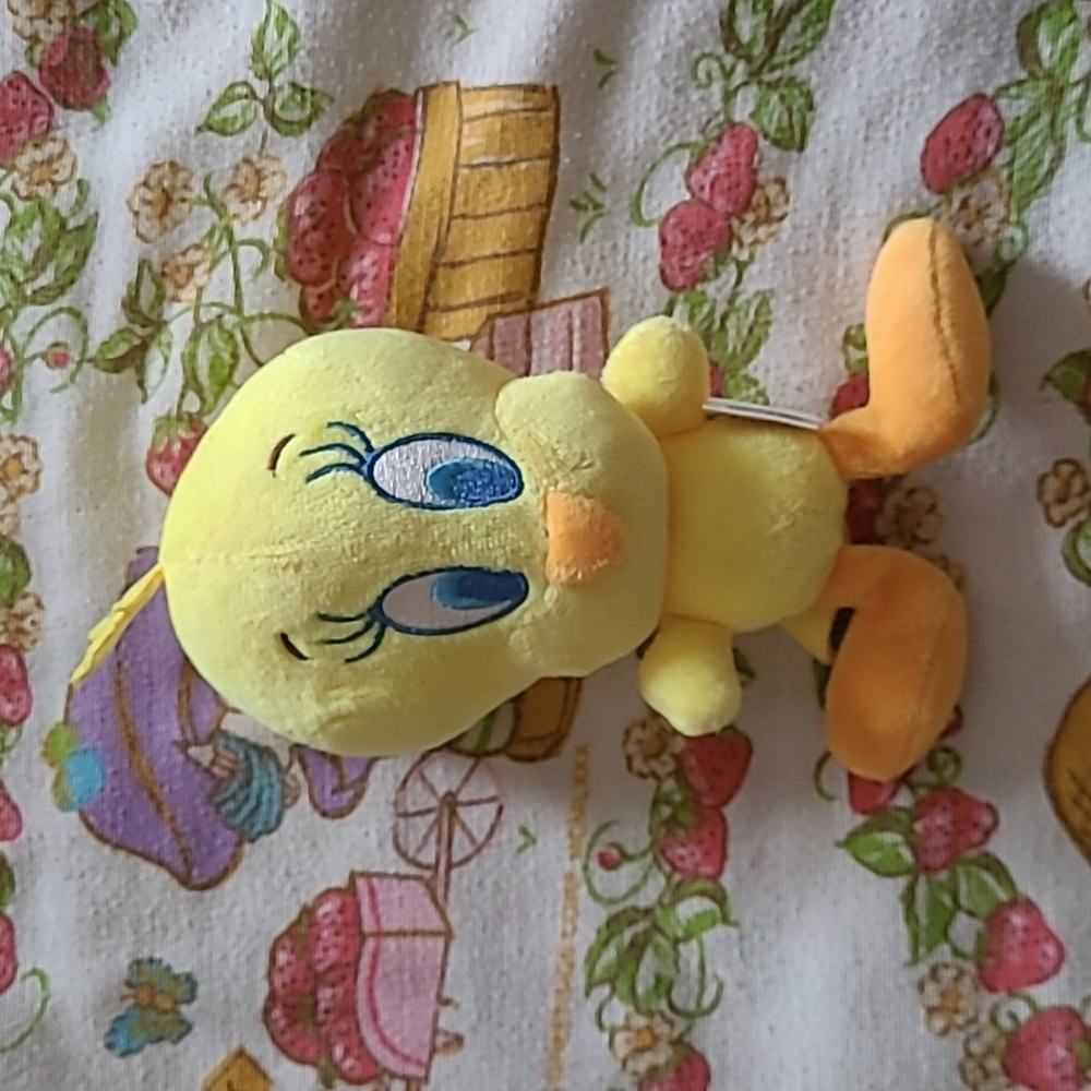 Warner Bros Tweety Bird Fetch for Pets Squeeky Dog Toy